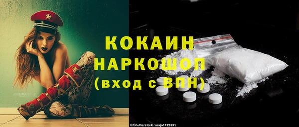 гидра Богданович