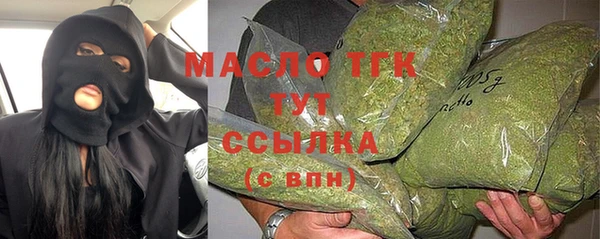 гидра Богданович