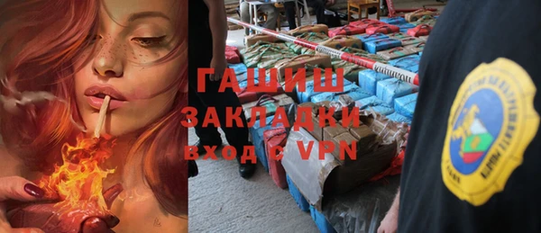 гидра Богданович