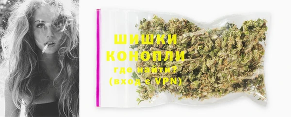 гидра Богданович
