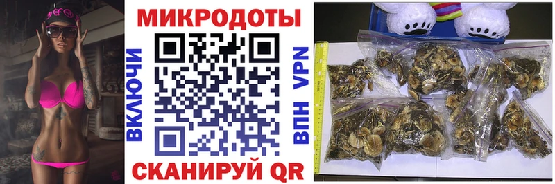 где купить наркоту  Балтийск  Псилоцибиновые грибы MAGIC MUSHROOMS 